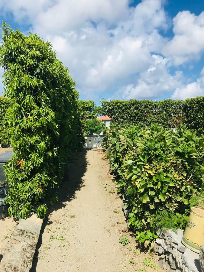 فيلا Casas Da Quinta هيبيرا غْريندي المظهر الخارجي الصورة